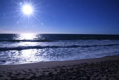 DSC_0386 (Large).JPG